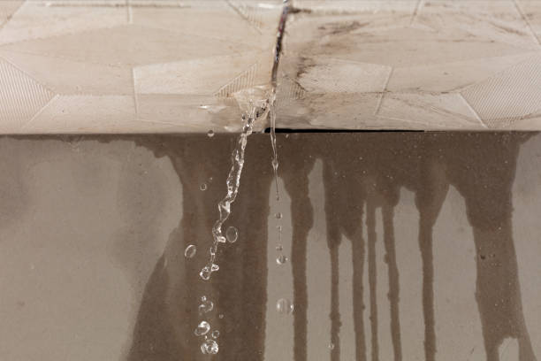 Professional Burst Pipe Cleanup technician working in Harlan, IN